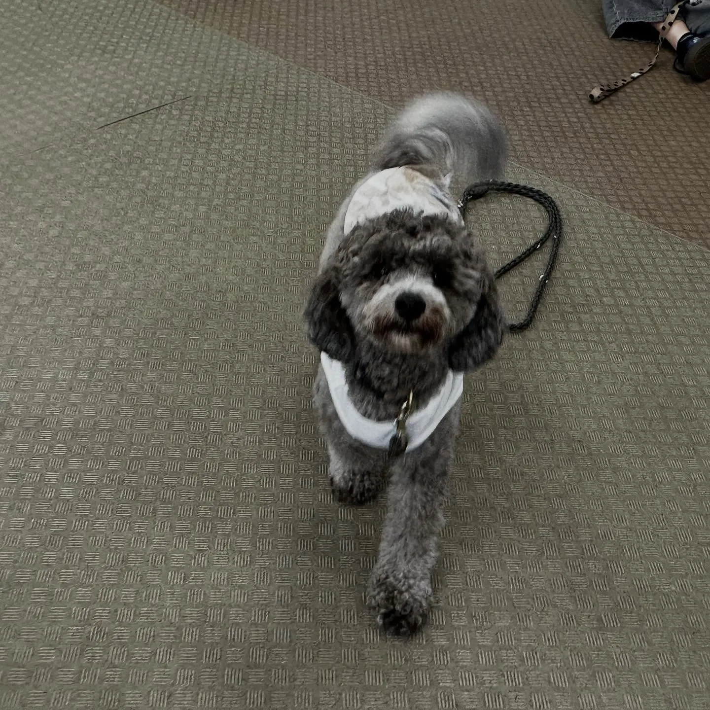 昨日は専門学校dayでした🏫