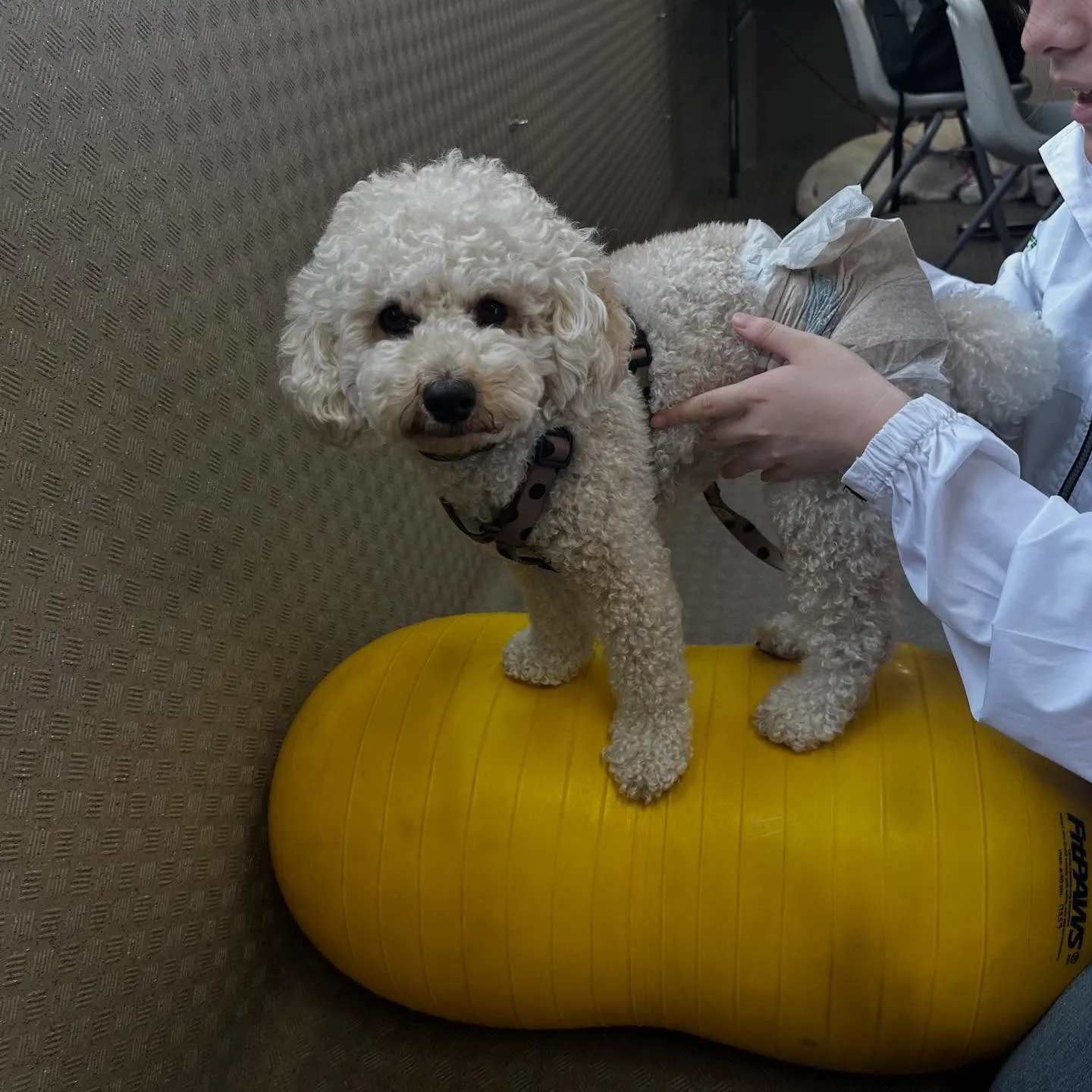 昨日は専門学校dayでした🏫