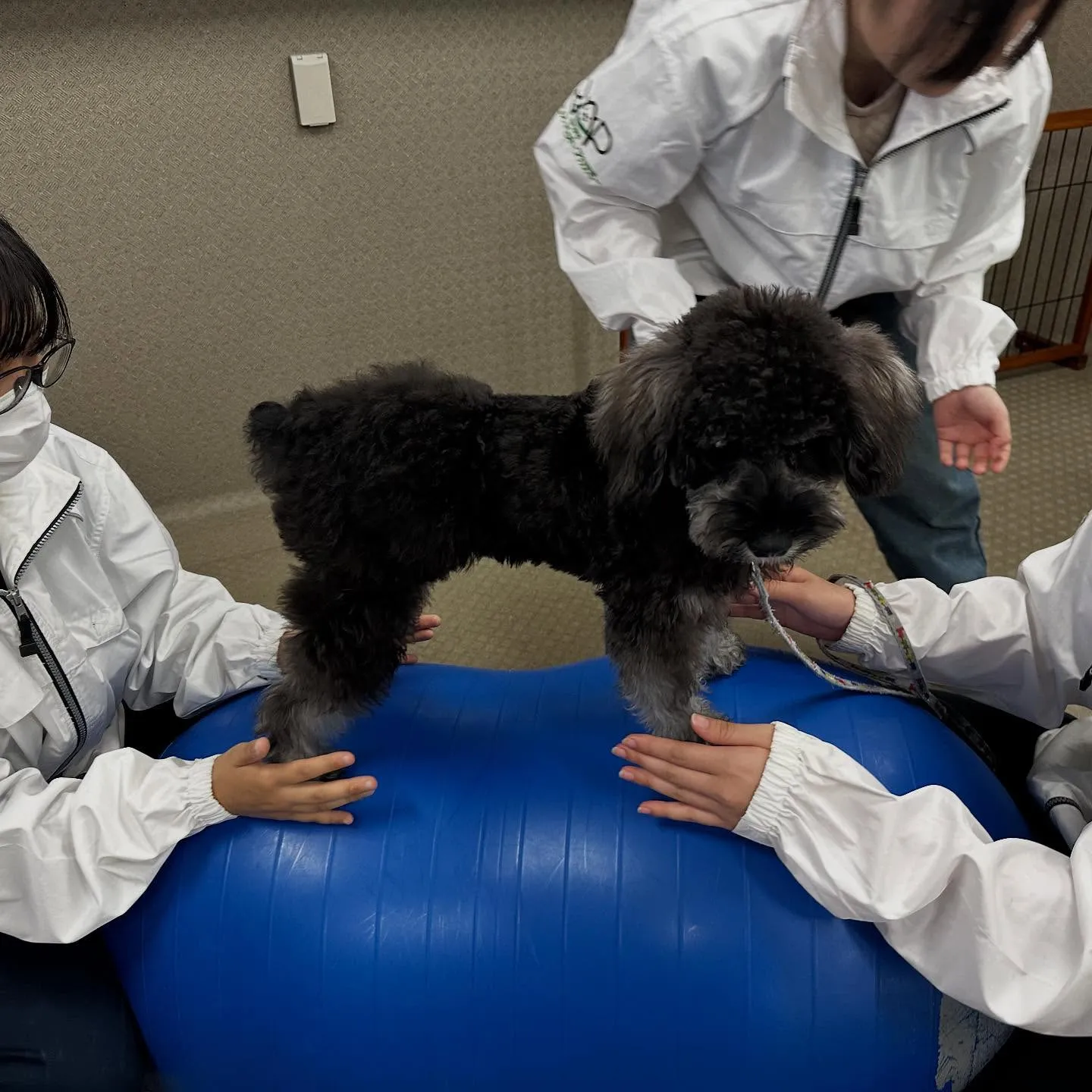 昨日は専門学校dayでした🏫