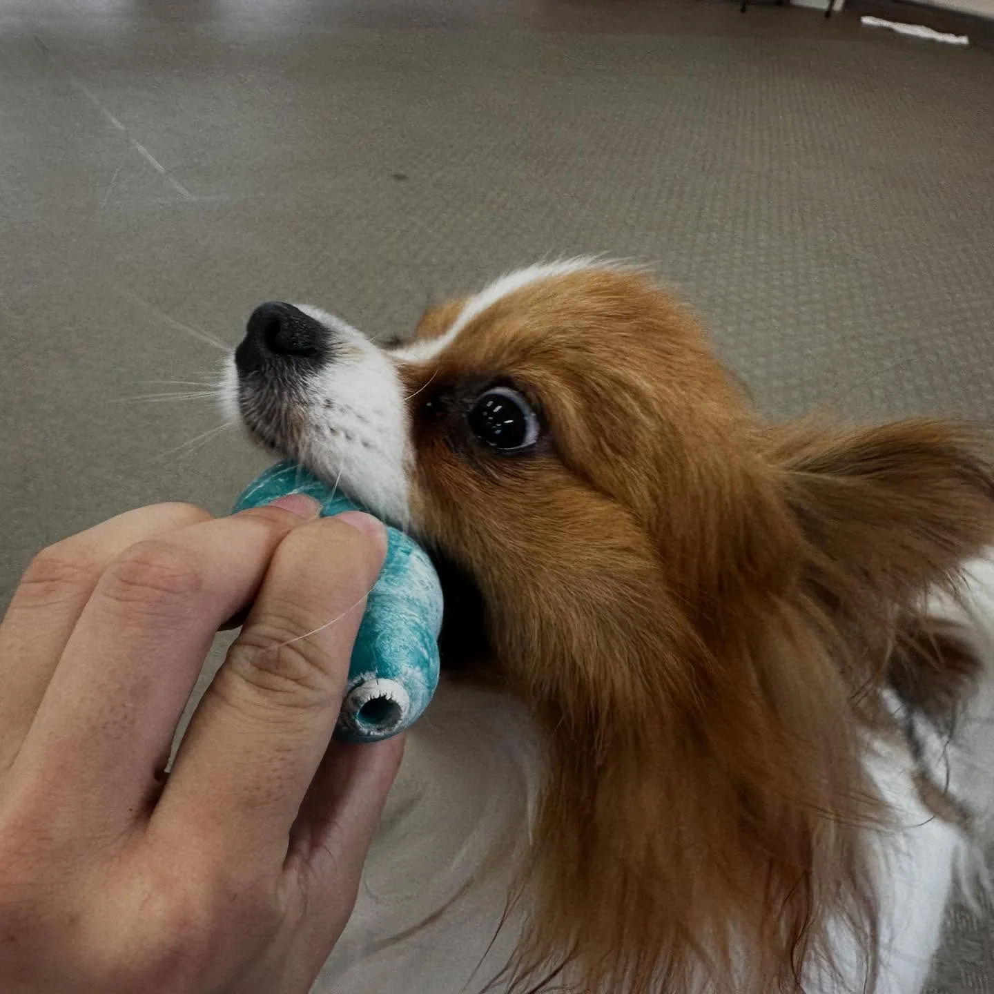 昨日は専門学校dayでした🏫