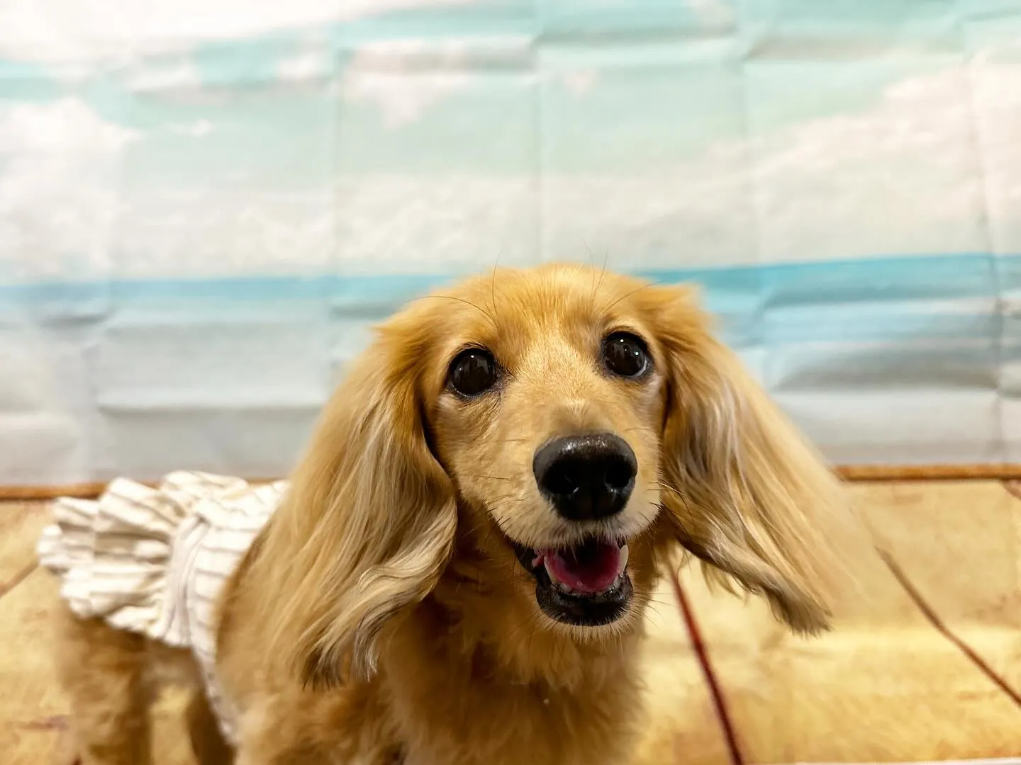 賞味期限が近いため値下げになっている商品です🎶