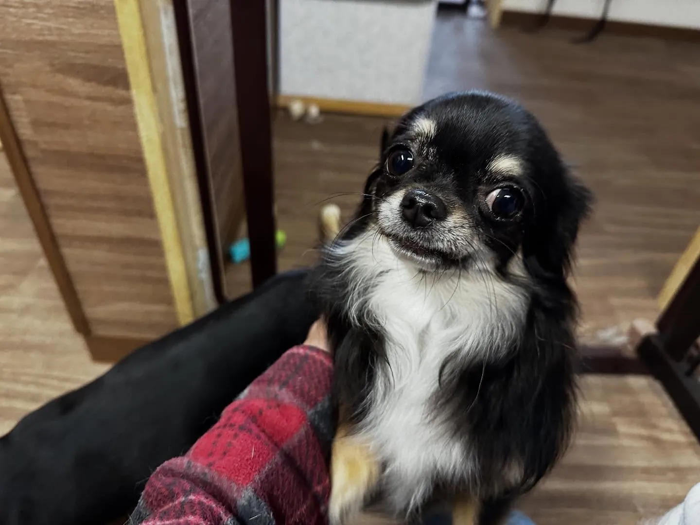 賞味期限が近いため値下げになっている商品です🎶