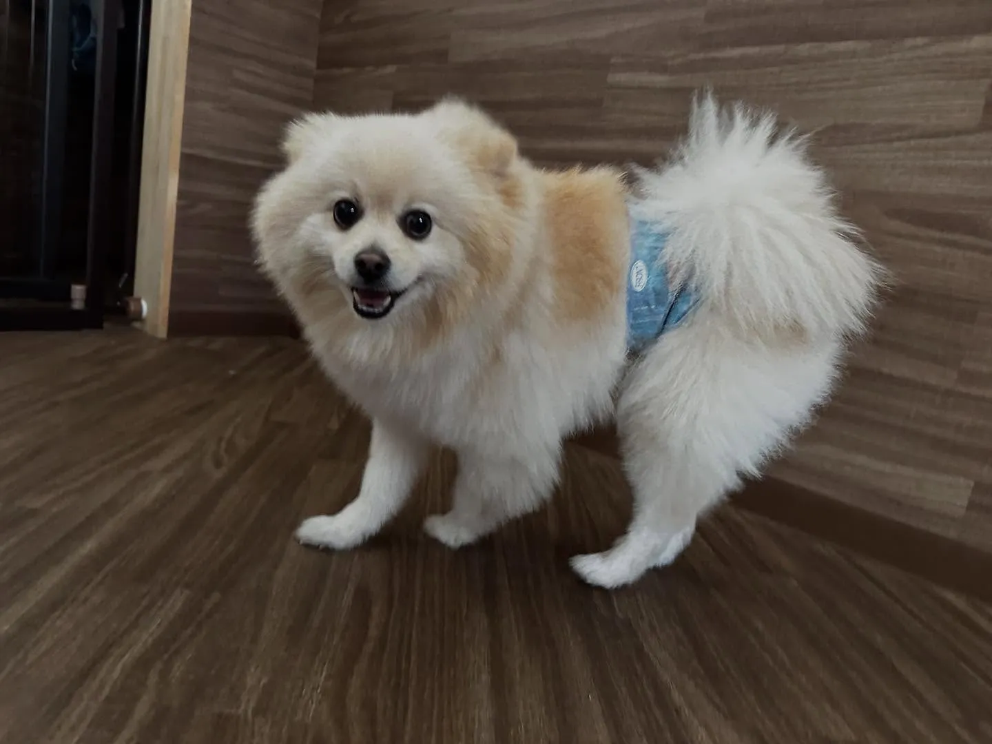 賞味期限が近いため値下げになっている商品です🎶