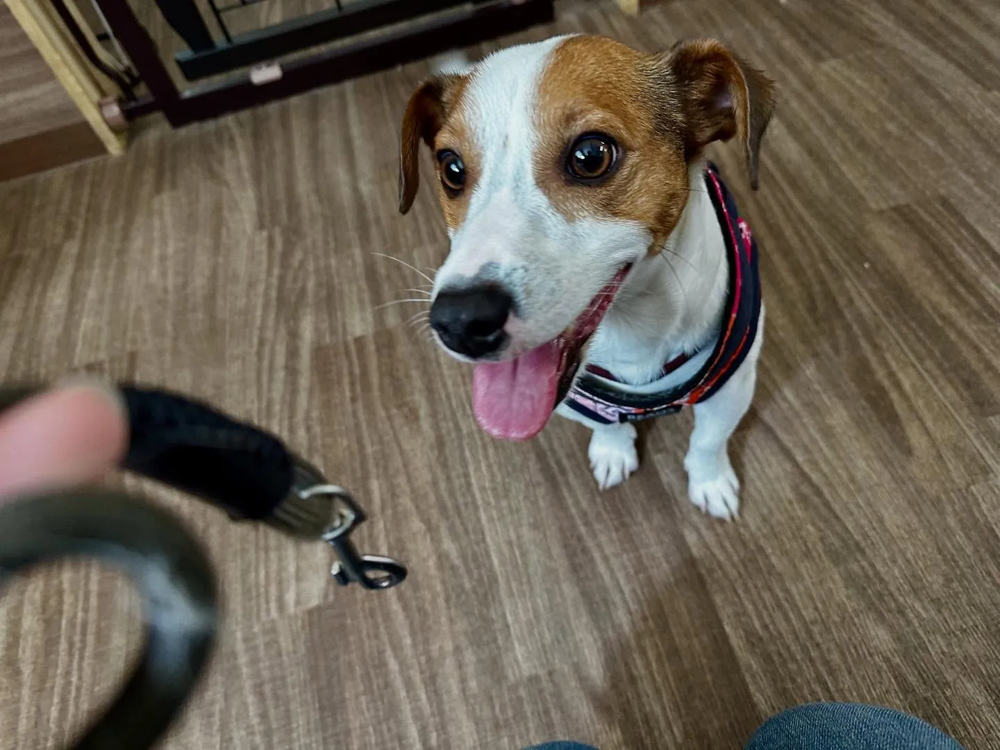 賞味期限が近いため値下げになっている商品です🎶