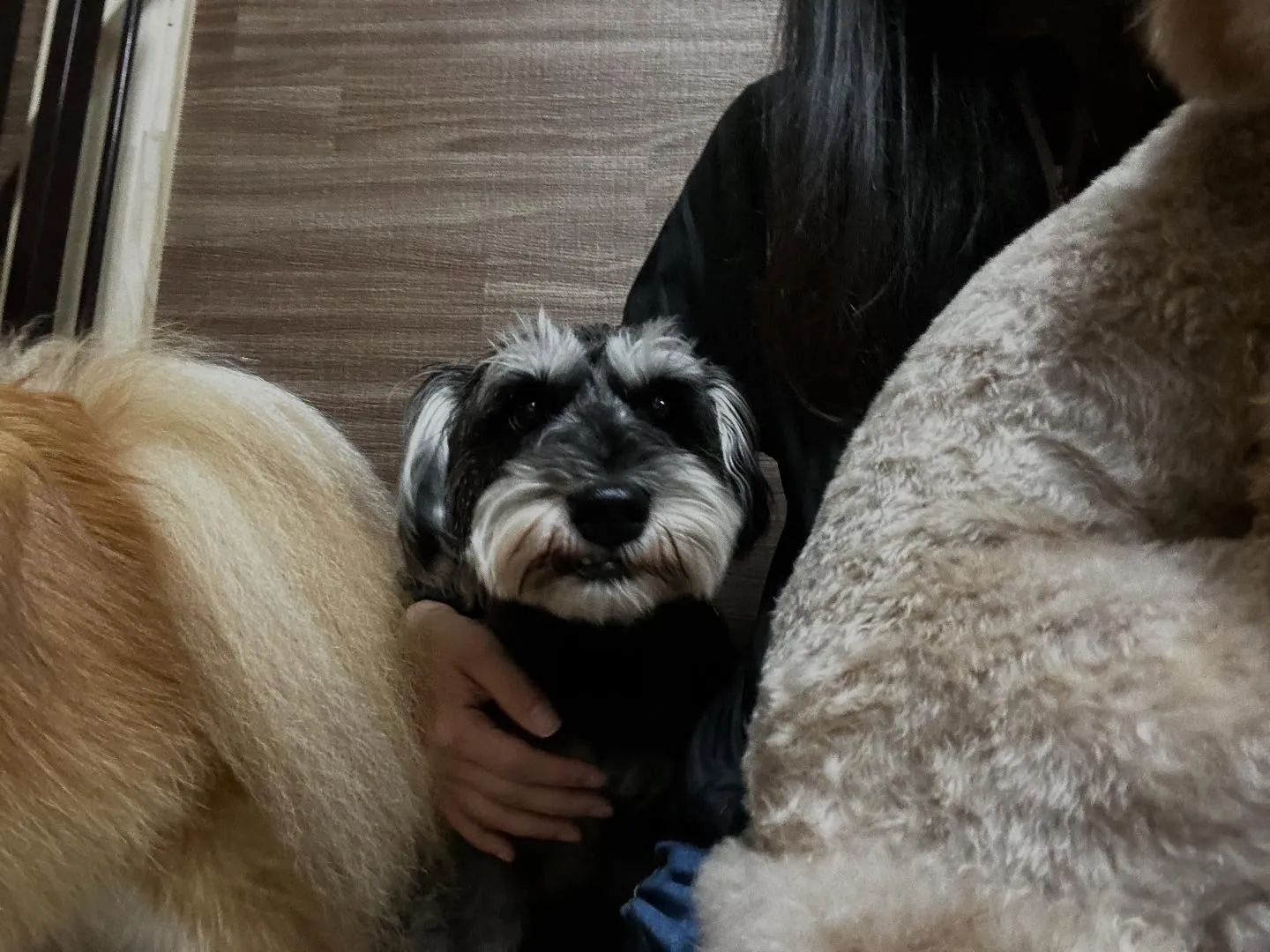 賞味期限が近いため値下げになっている商品です🎶