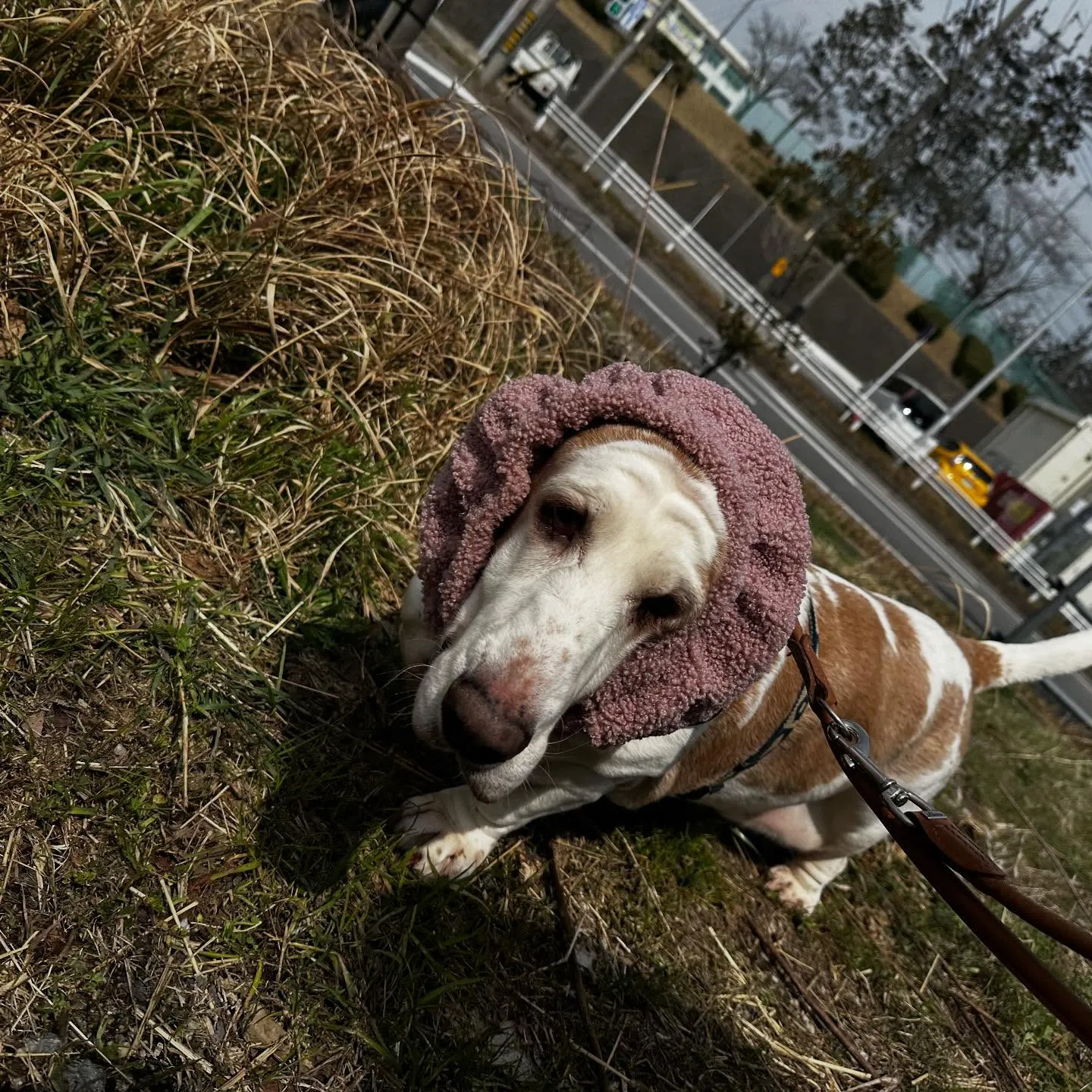 入会してくれたメイちゃんです💕