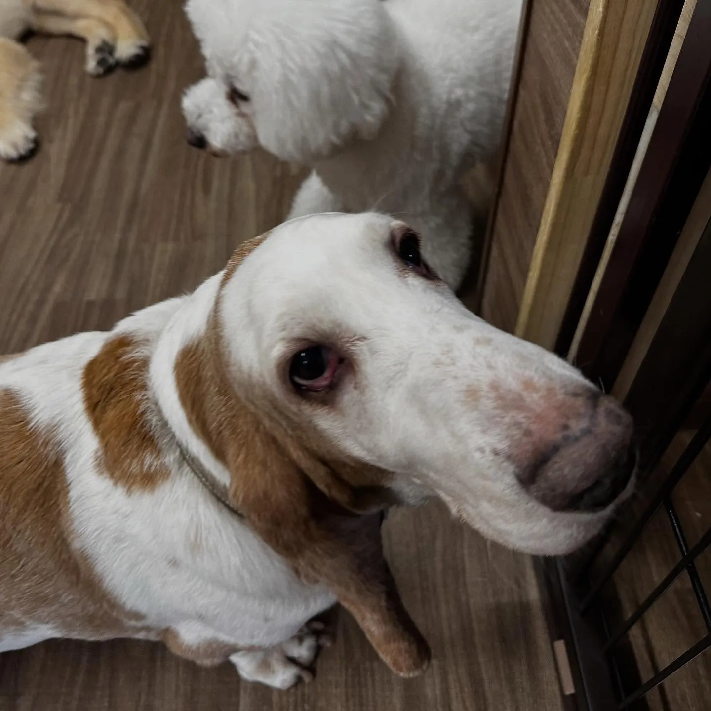 入会してくれたメイちゃんです💕