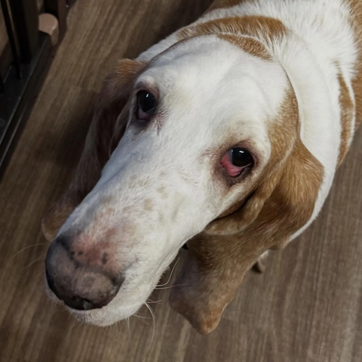 入会してくれたメイちゃんです💕