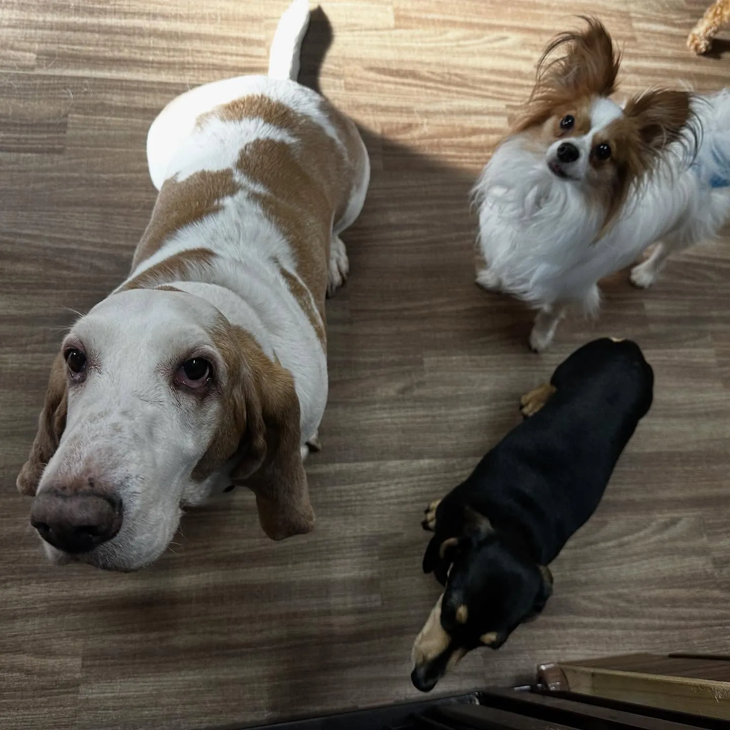 入会してくれたメイちゃんです💕