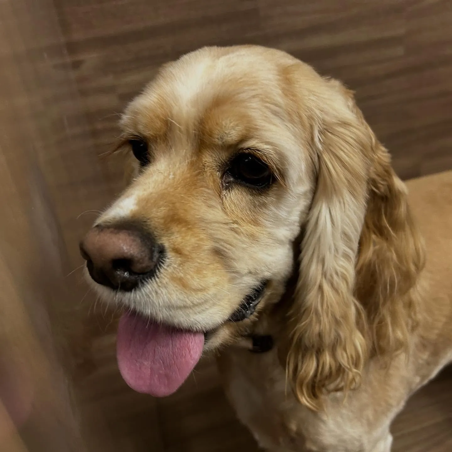 入会してくれたリアンくんです💖