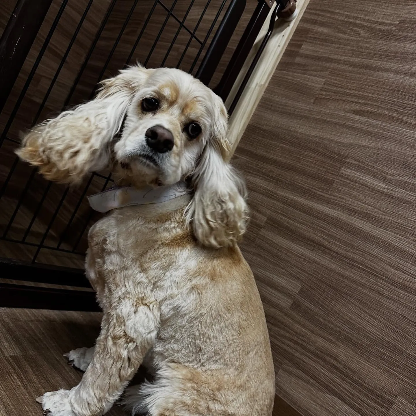 入会してくれたリアンくんです💖