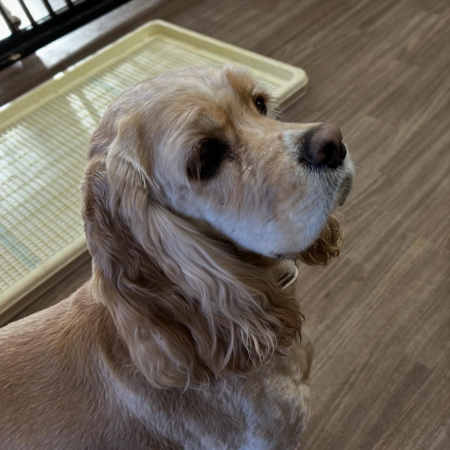 入会してくれたリアンくんです💖