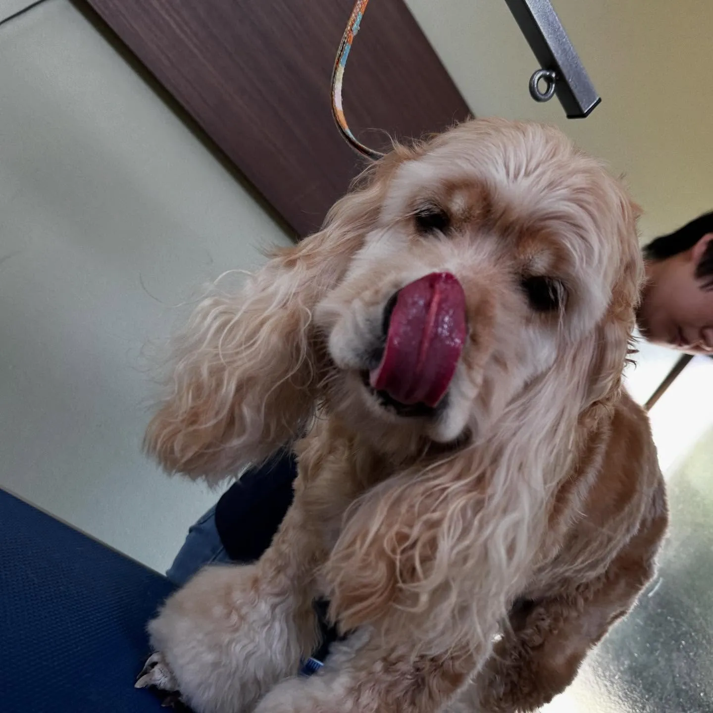 入会してくれたリアンくんです💖