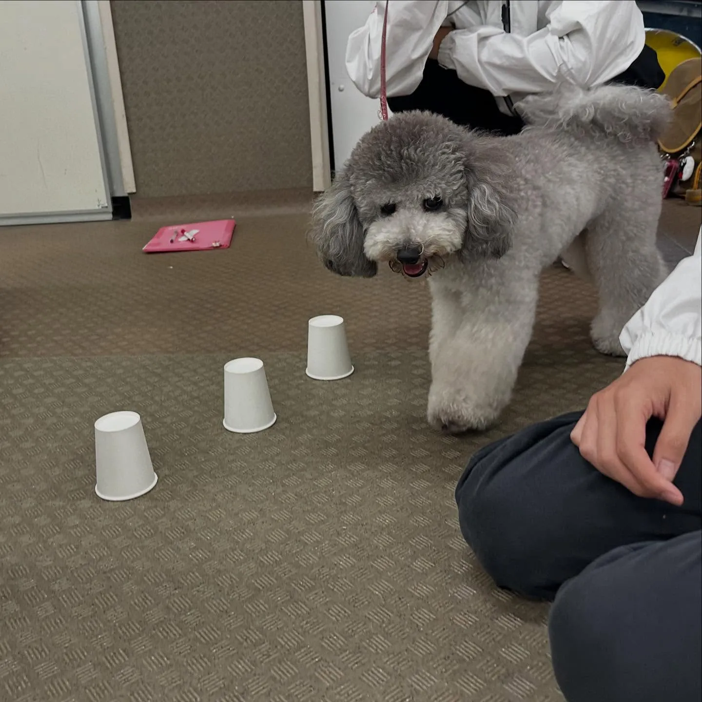 昨日は専門学校dayでした🏫