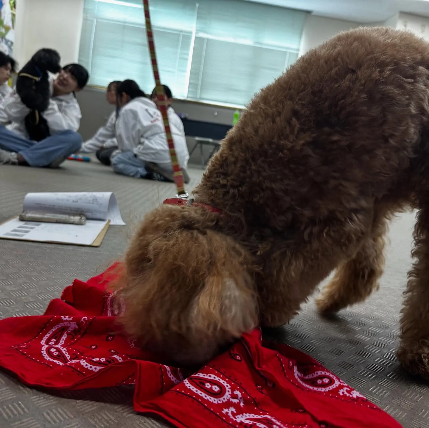 昨日は専門学校dayでした🏫