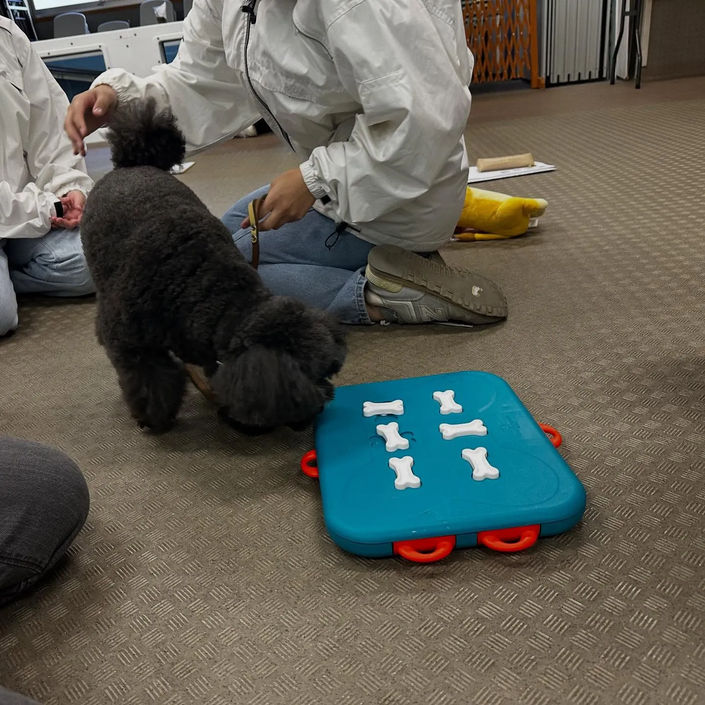 昨日は専門学校dayでした🏫