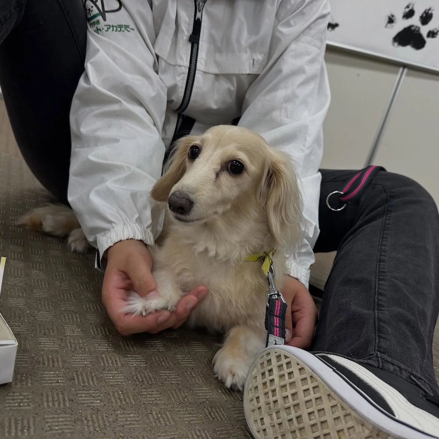 昨日は専門学校dayでした🏫