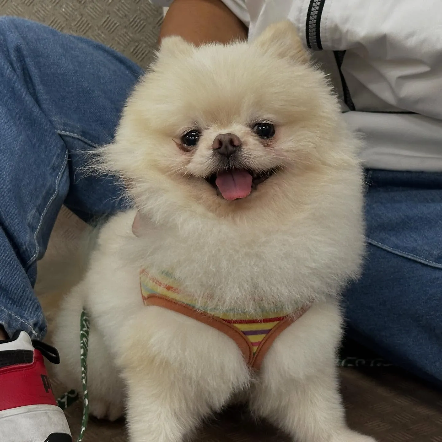 昨日は専門学校dayでした🏫