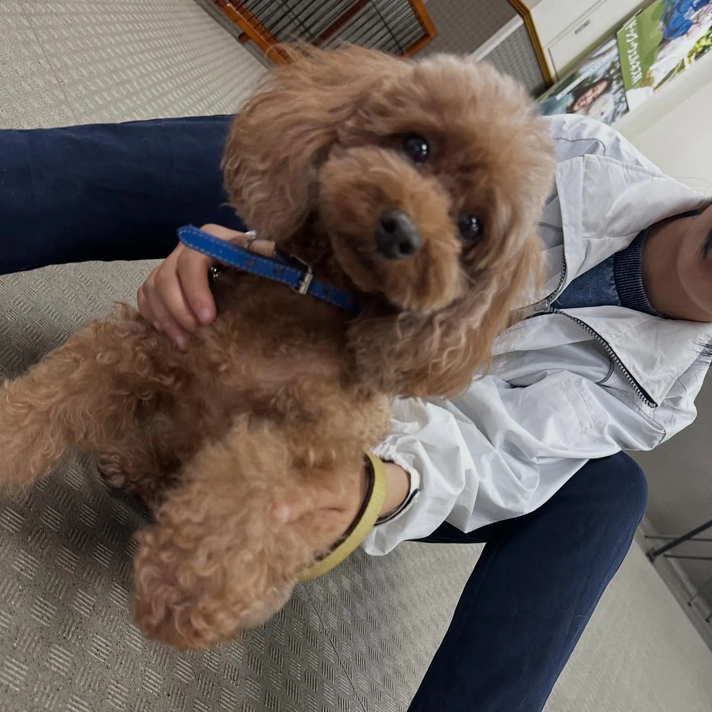 昨日は専門学校dayでした🏫