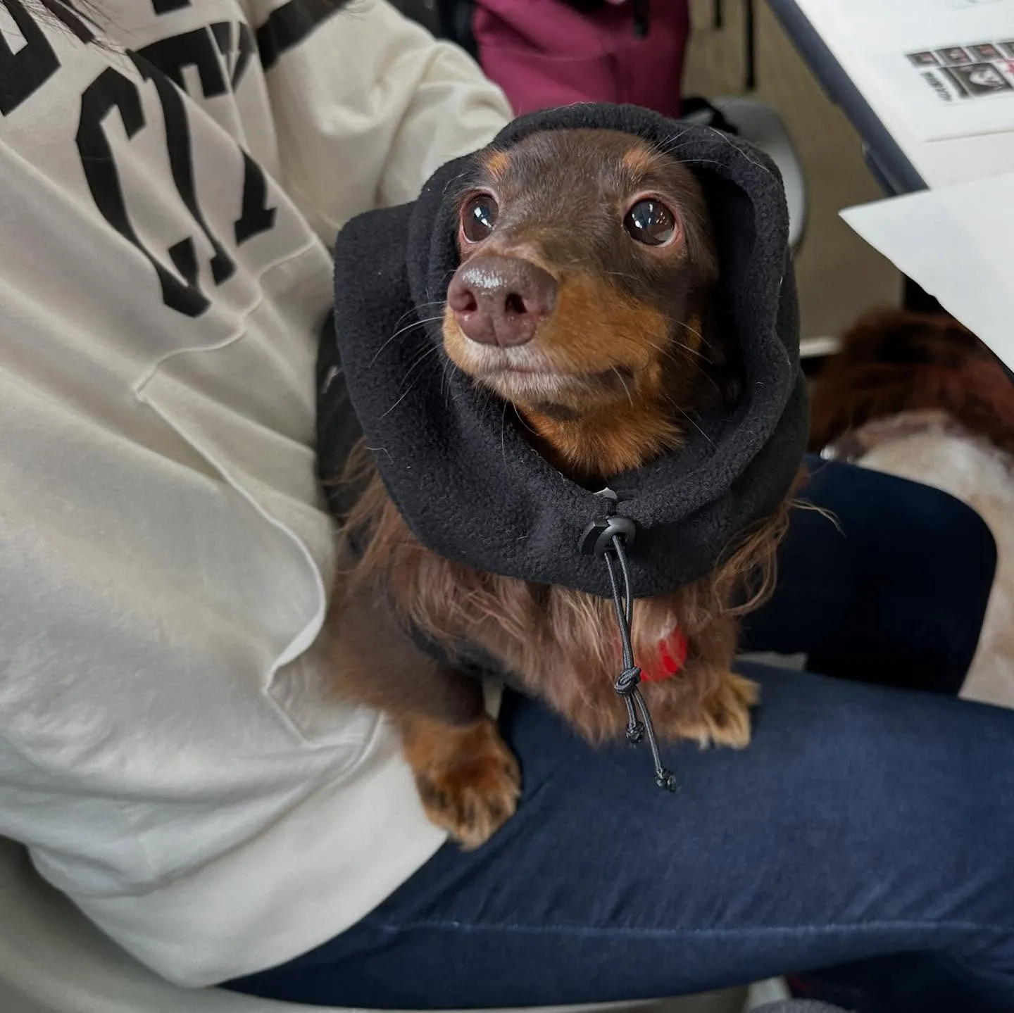 昨日は専門学校dayでした🏫