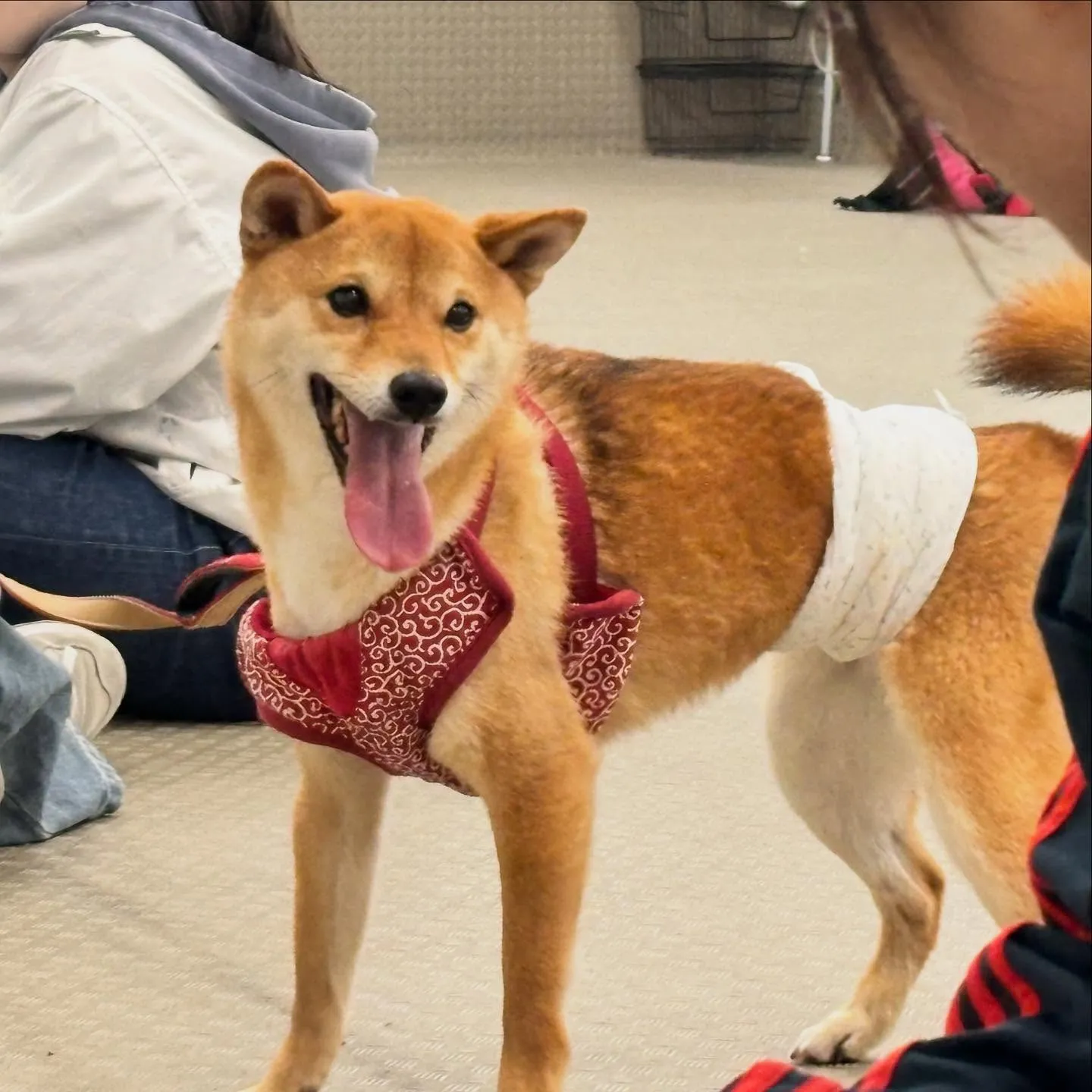 昨日は専門学校dayでした🏫