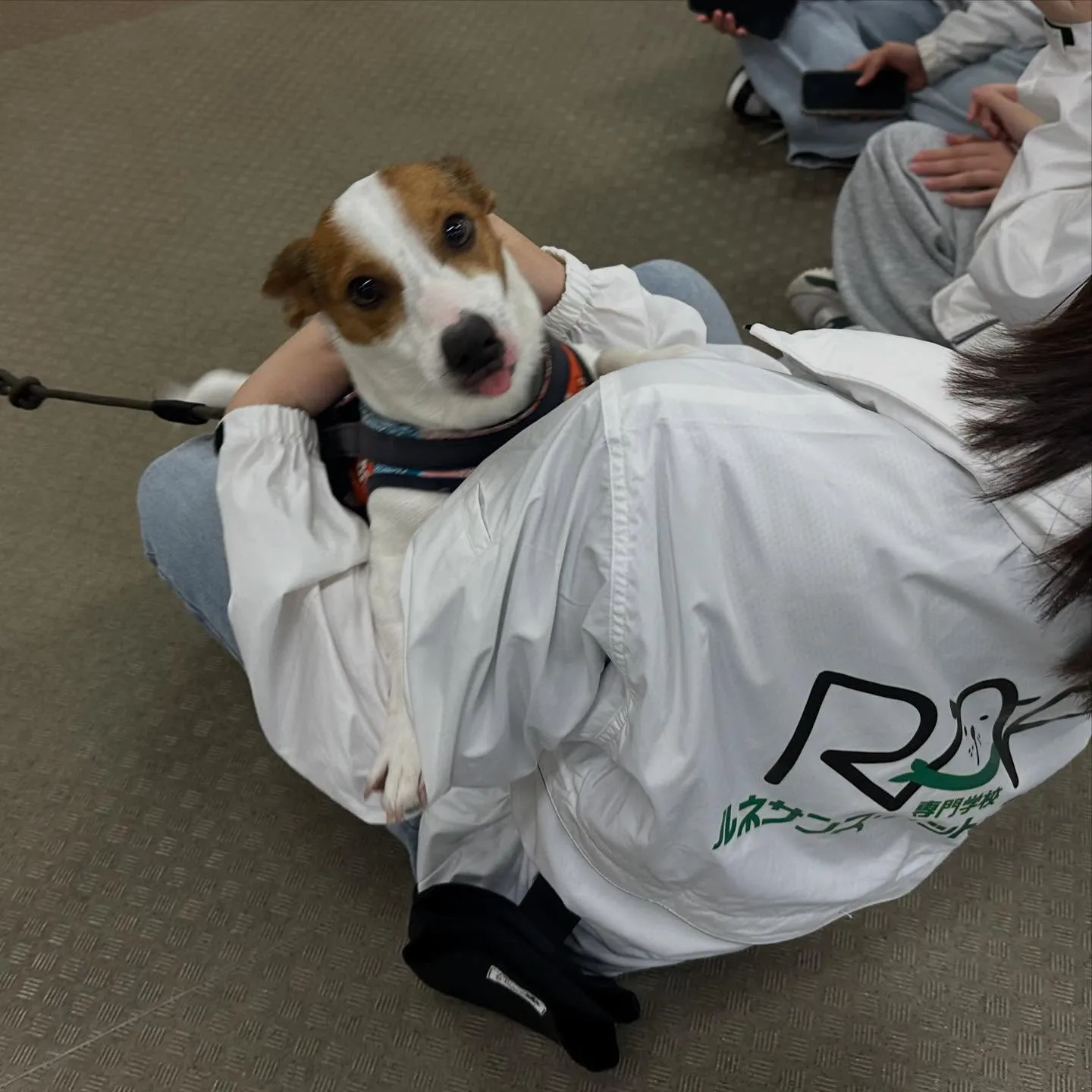 昨日は専門学校dayでした🏫