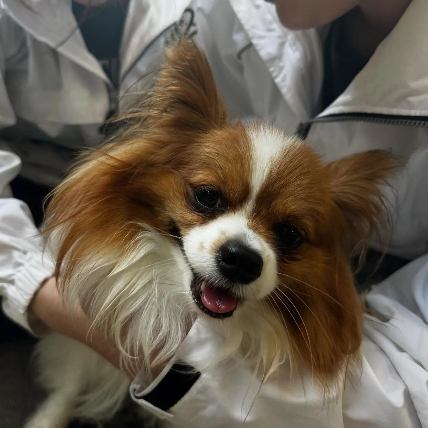 昨日は専門学校dayでした🏫