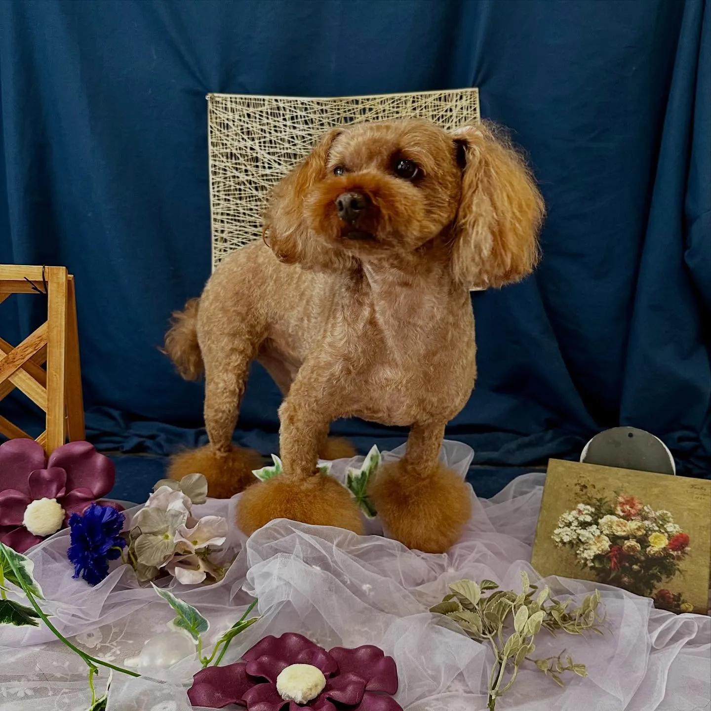 先月アップしきれなかったトリミングわんこたちです🐾