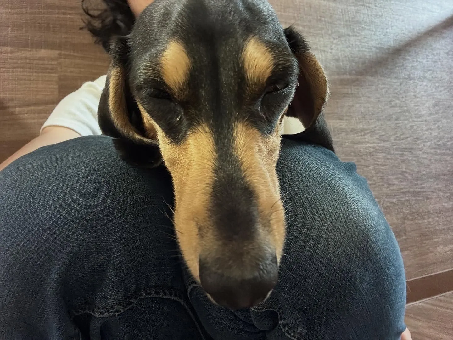 🎵10月のおすすめ商品🎵