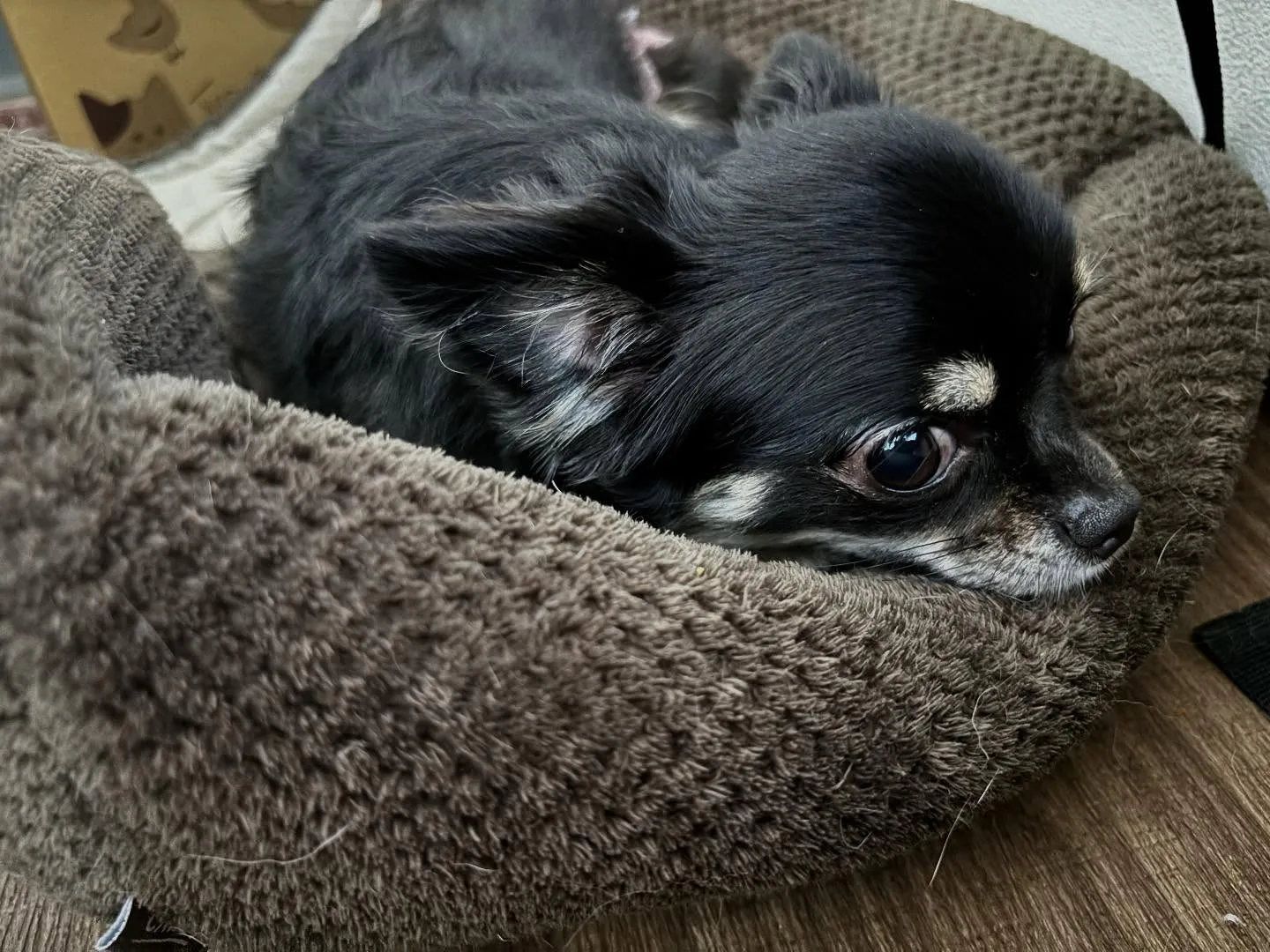 🎵10月のおすすめ商品🎵