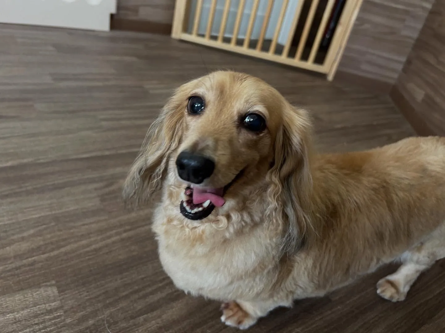 🎵10月のおすすめ商品🎵