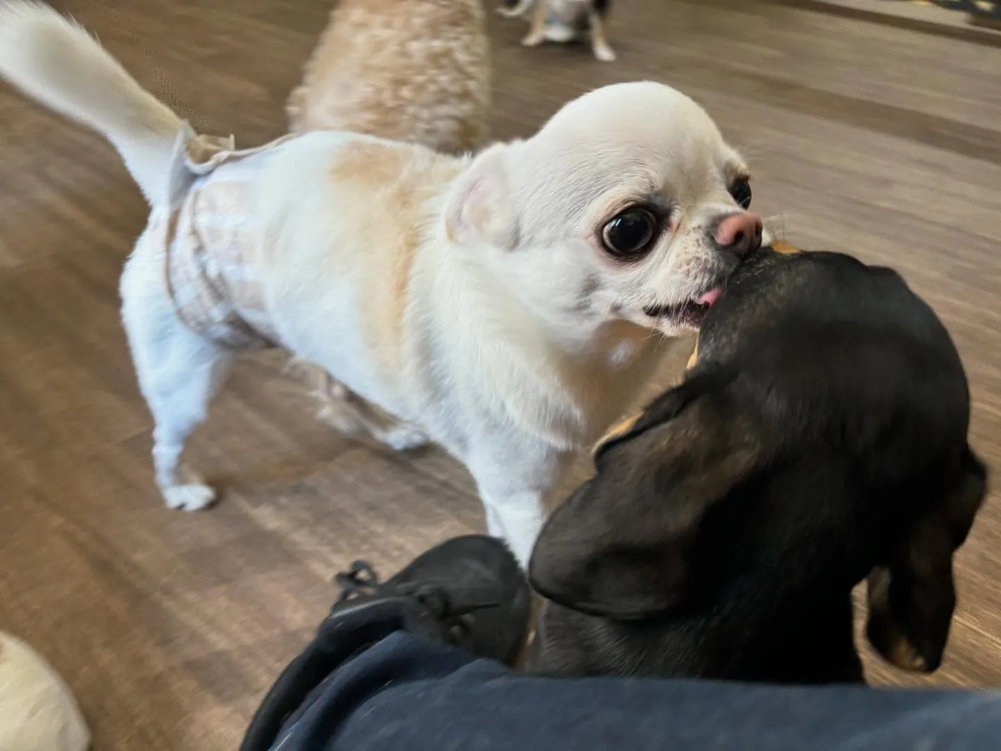 🎵10月のおすすめ商品🎵