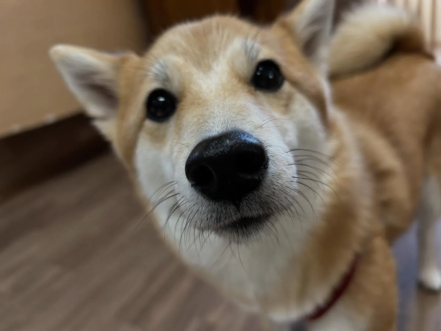 🎵10月のおすすめ商品🎵