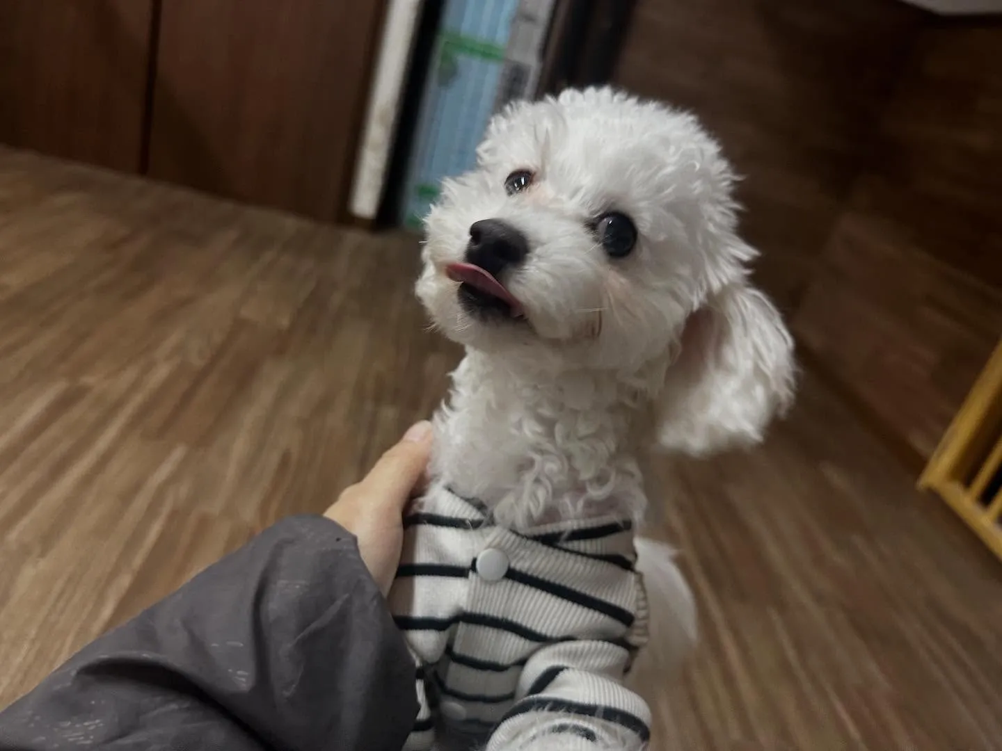 🎵10月のおすすめ商品🎵