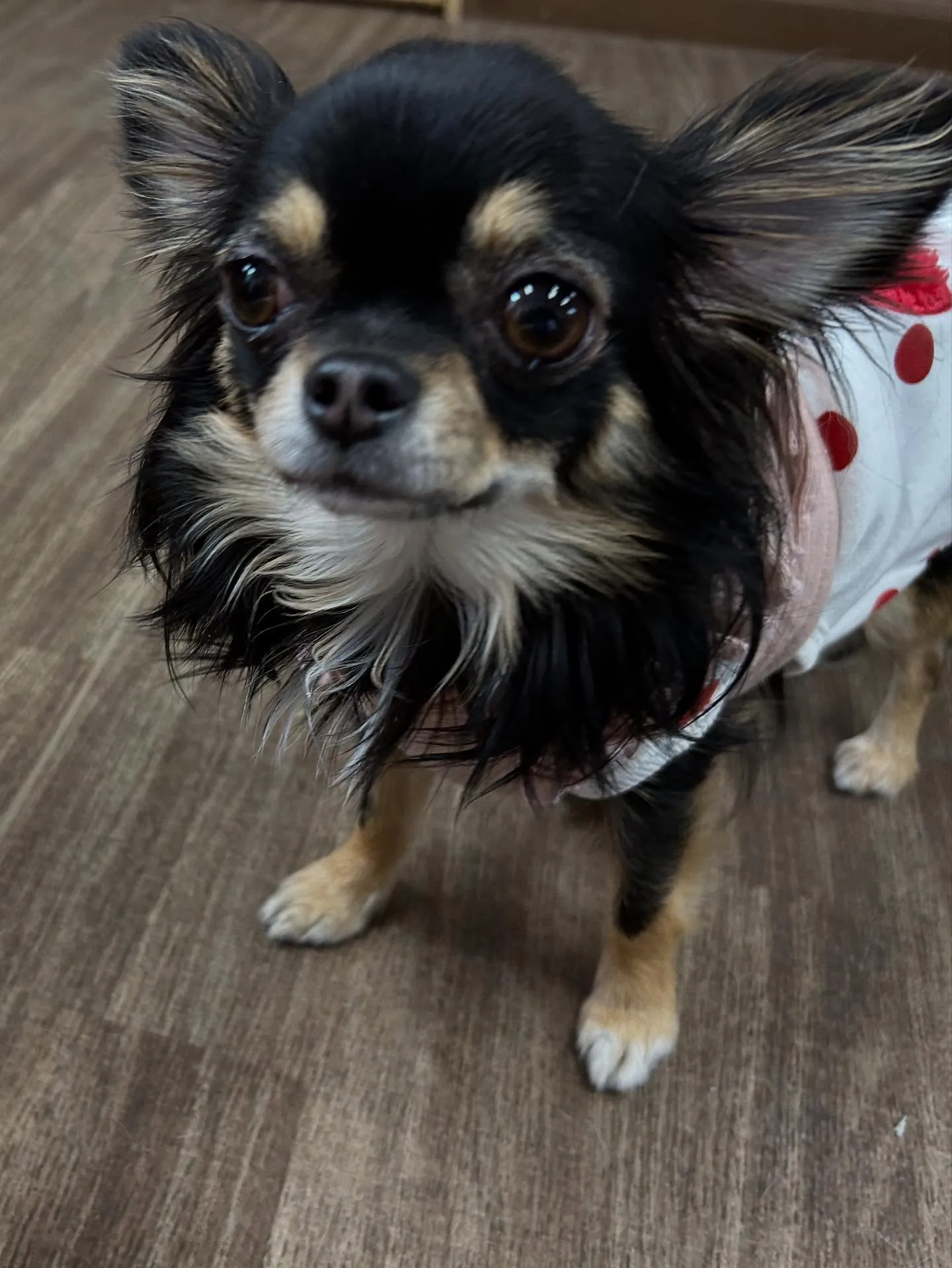 12月の営業カレンダーです🎅