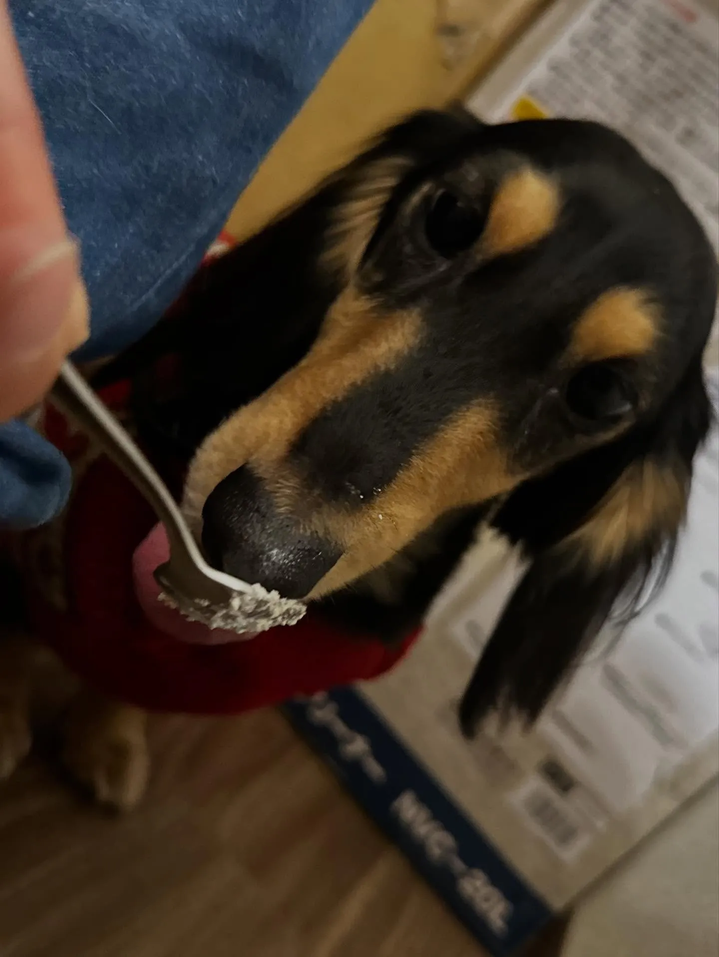 12月の営業カレンダーです🎅