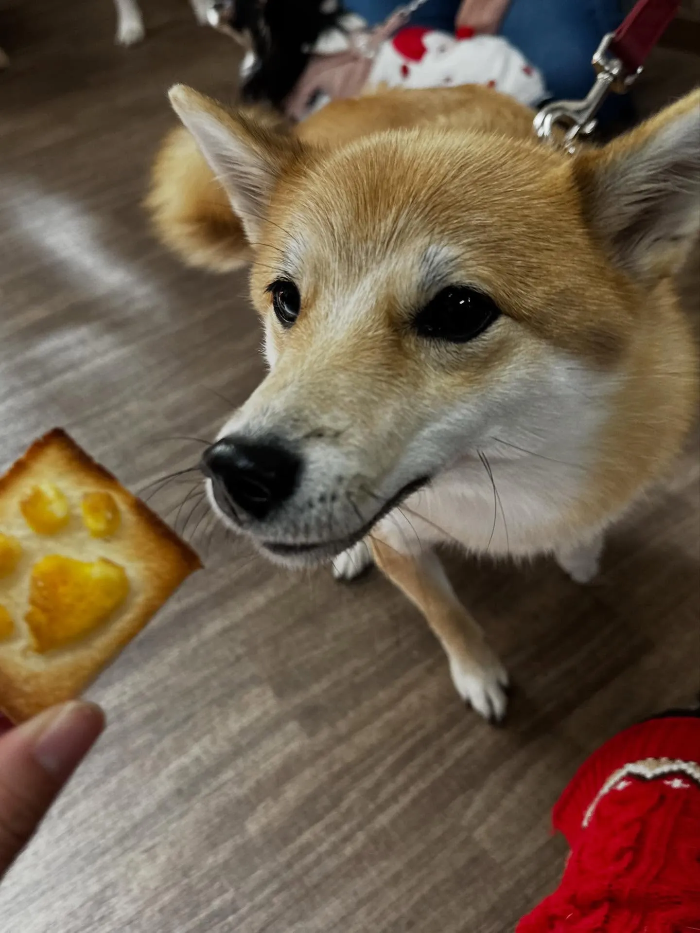 12月の営業カレンダーです🎅