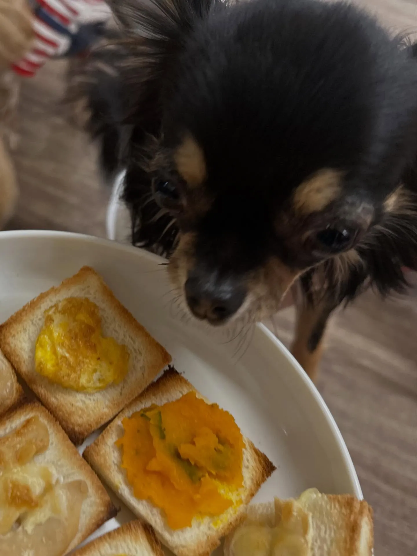 12月の営業カレンダーです🎅