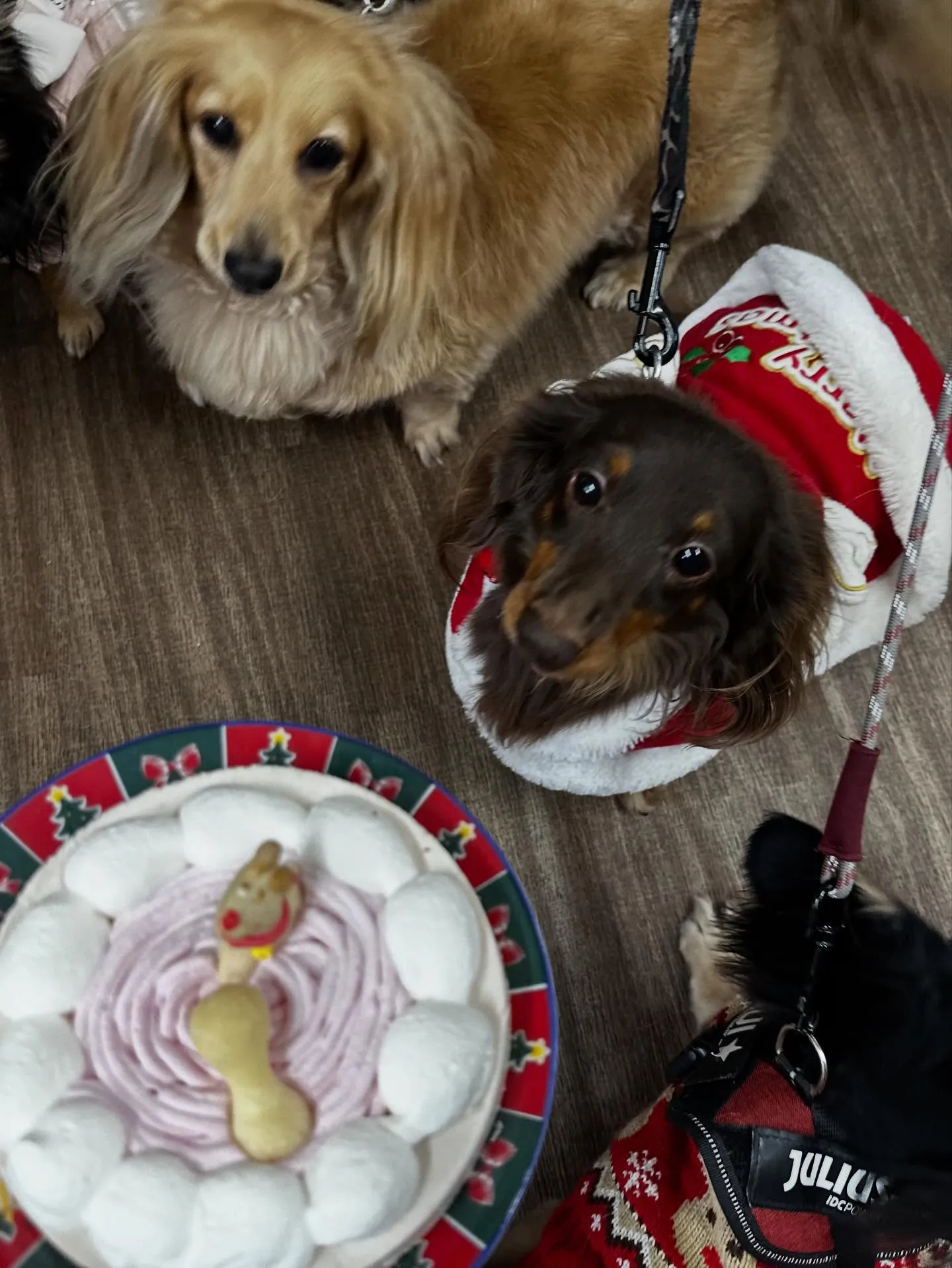 12月の営業カレンダーです🎅