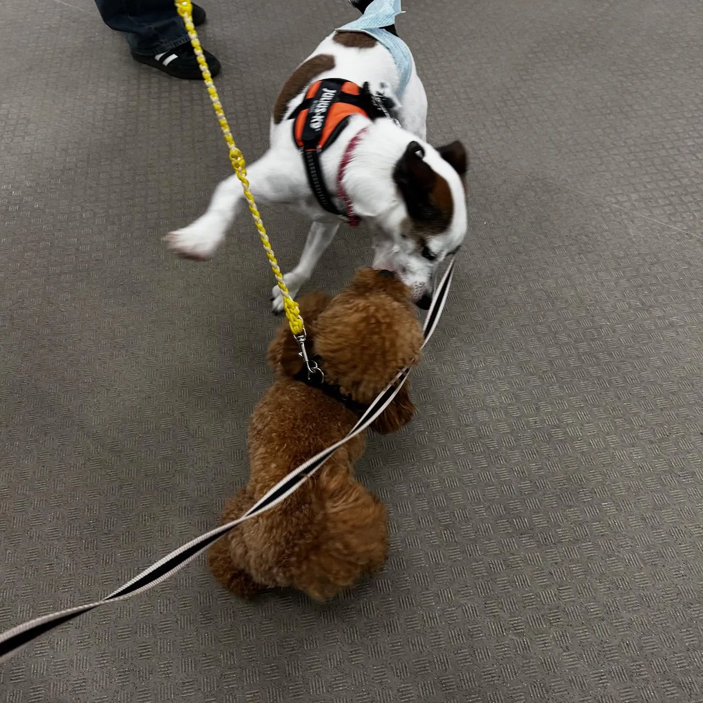 昨日は専門学校dayでした🏫