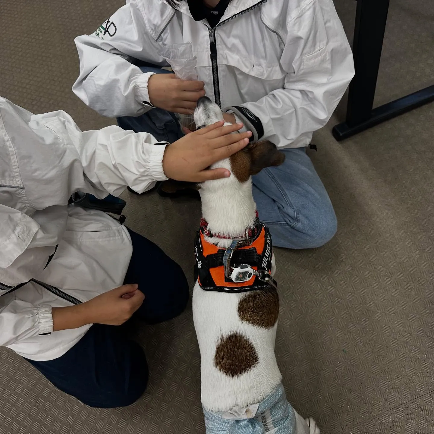 昨日は専門学校dayでした🏫