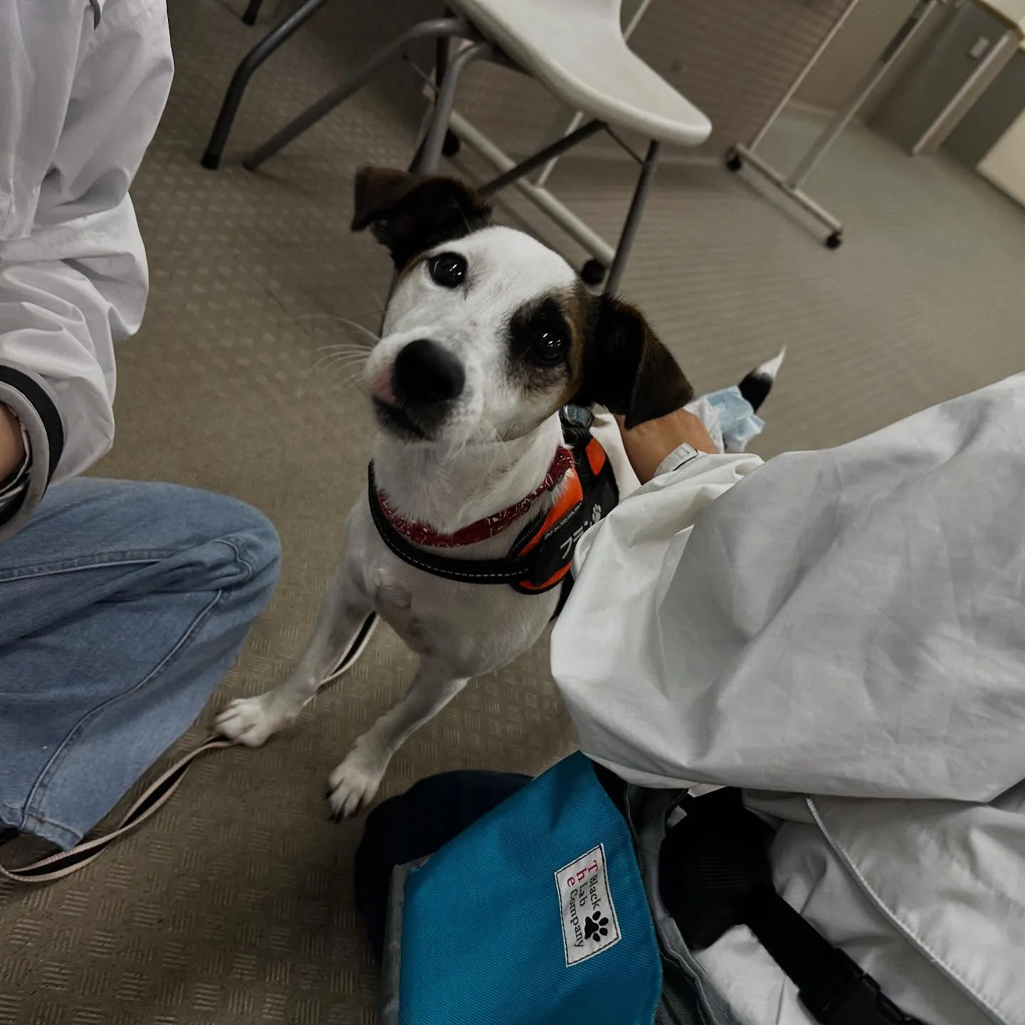 昨日は専門学校dayでした🏫