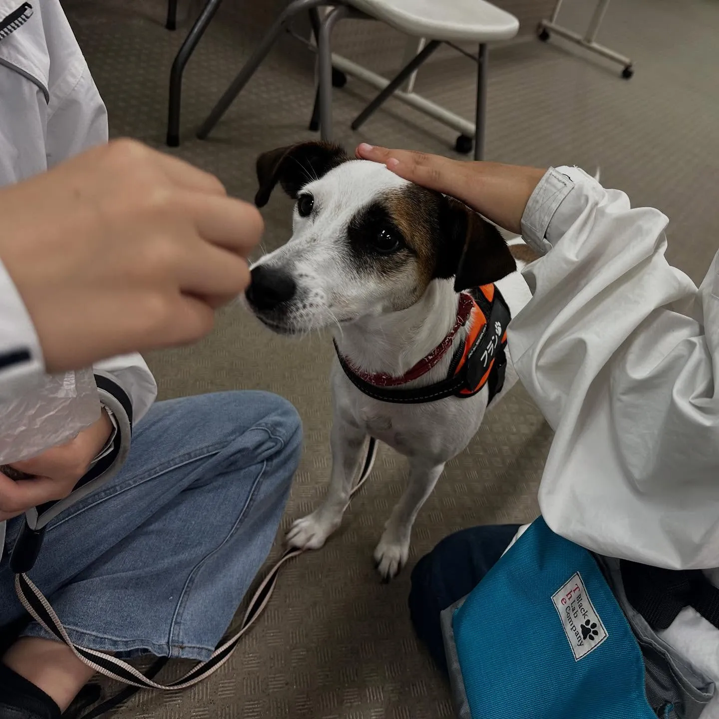 昨日は専門学校dayでした🏫