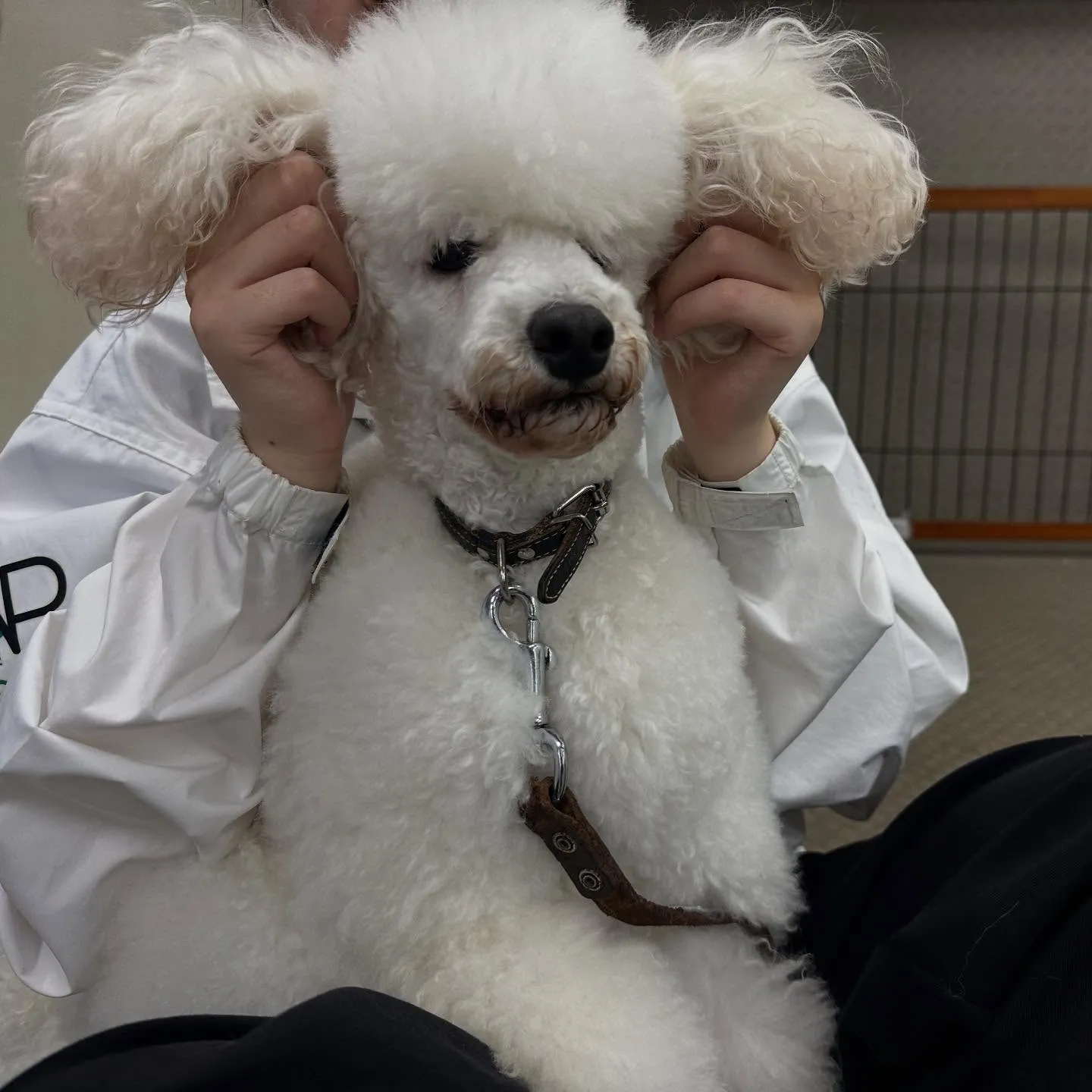 昨日は専門学校dayでした🏫