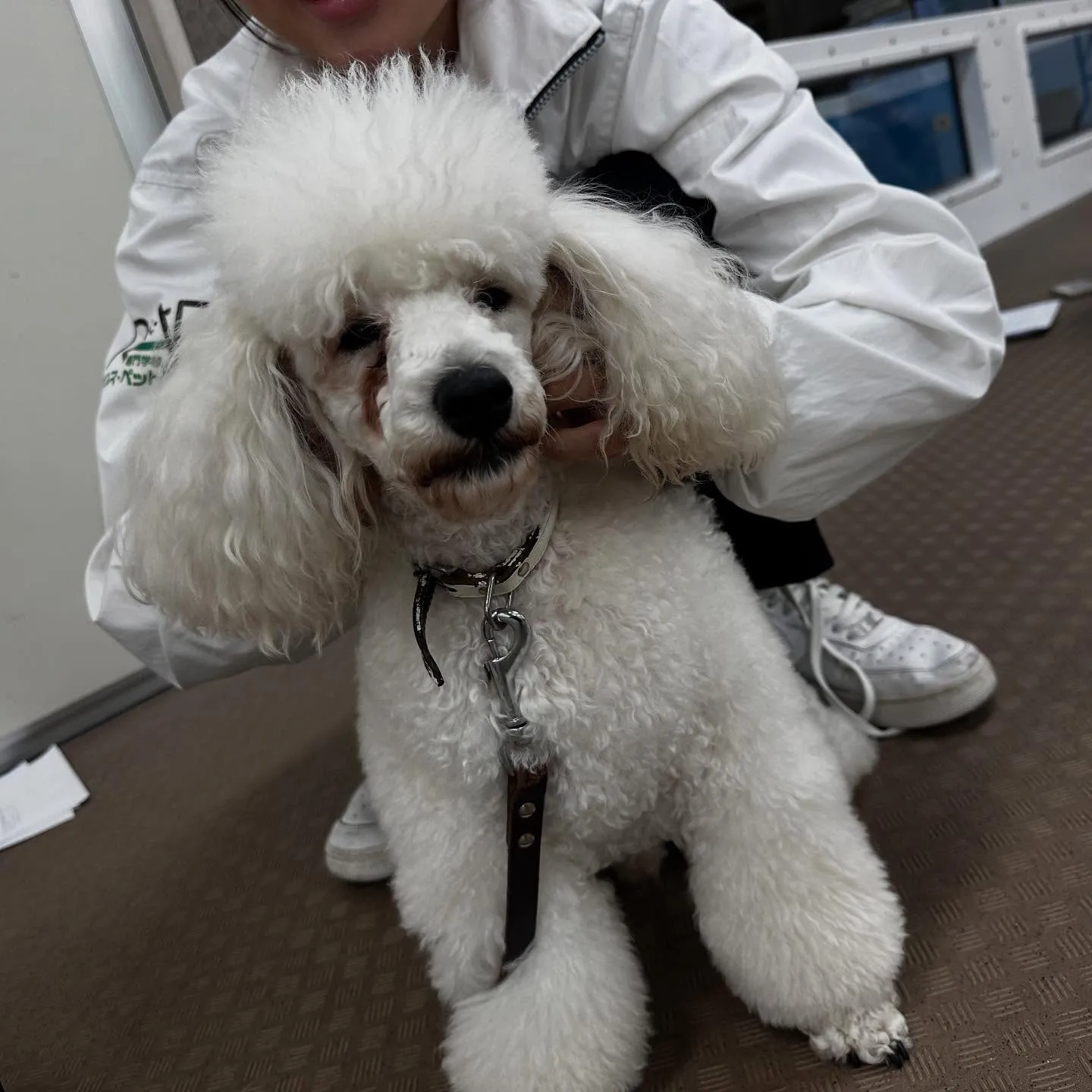 昨日は専門学校dayでした🏫