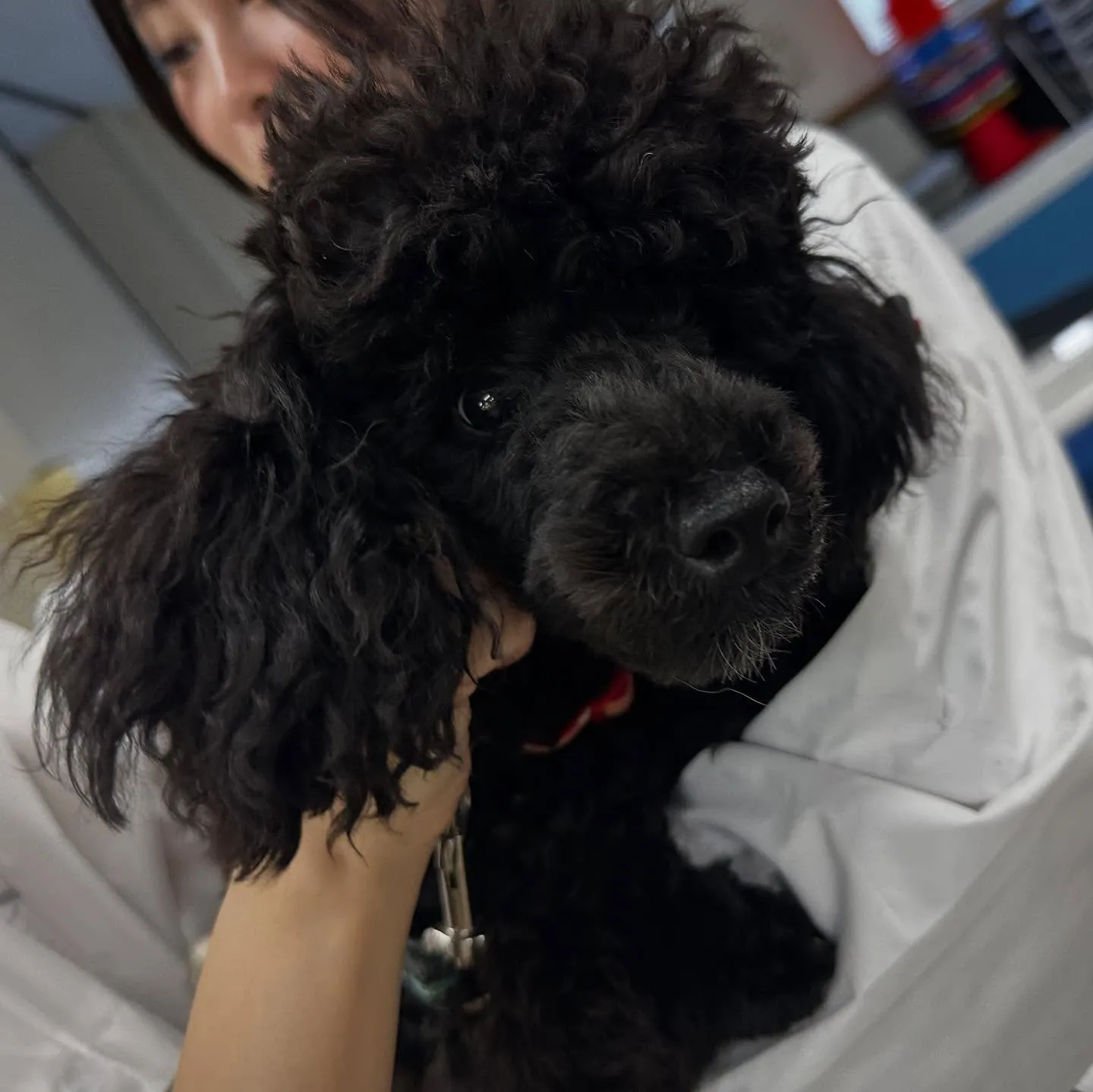 昨日は専門学校dayでした🏫