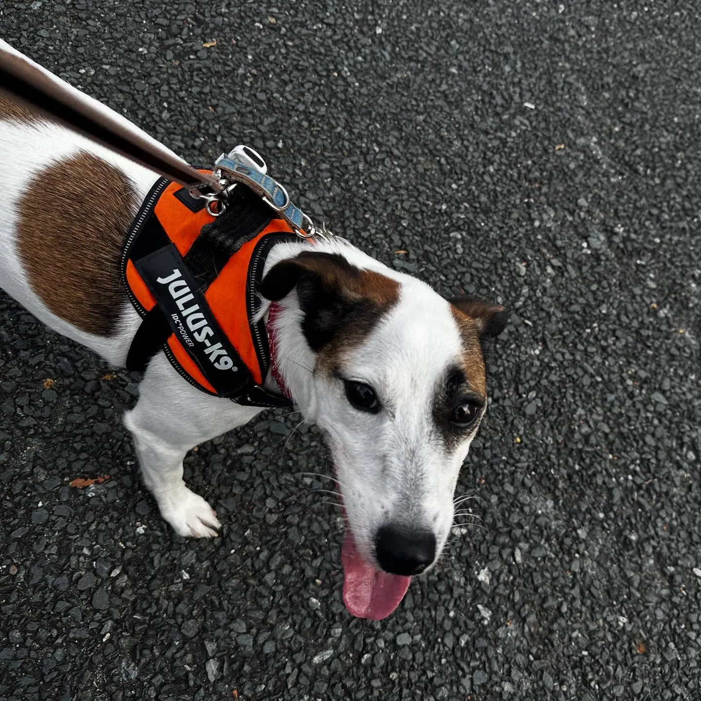 昨日は専門学校dayでした🏫