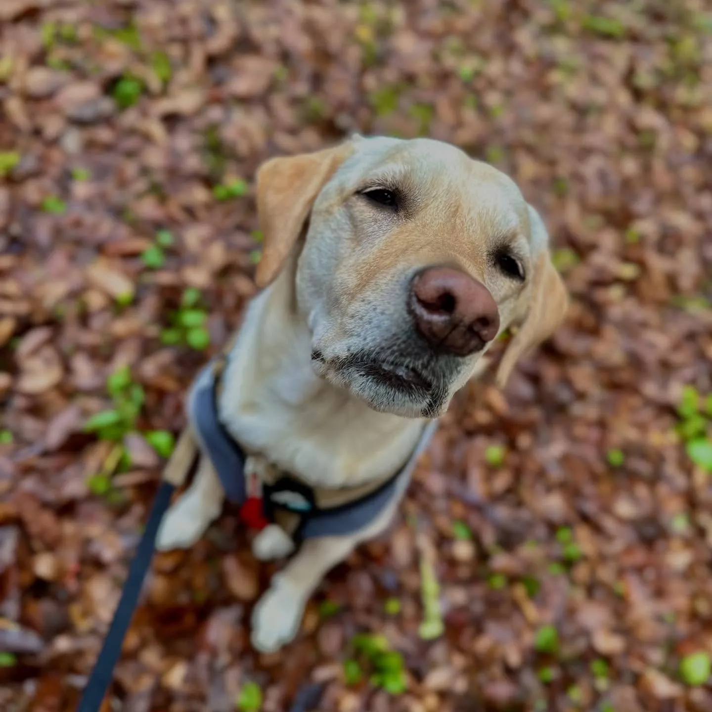 【秋の遠足イベント ご予約受付開始のお知らせ】