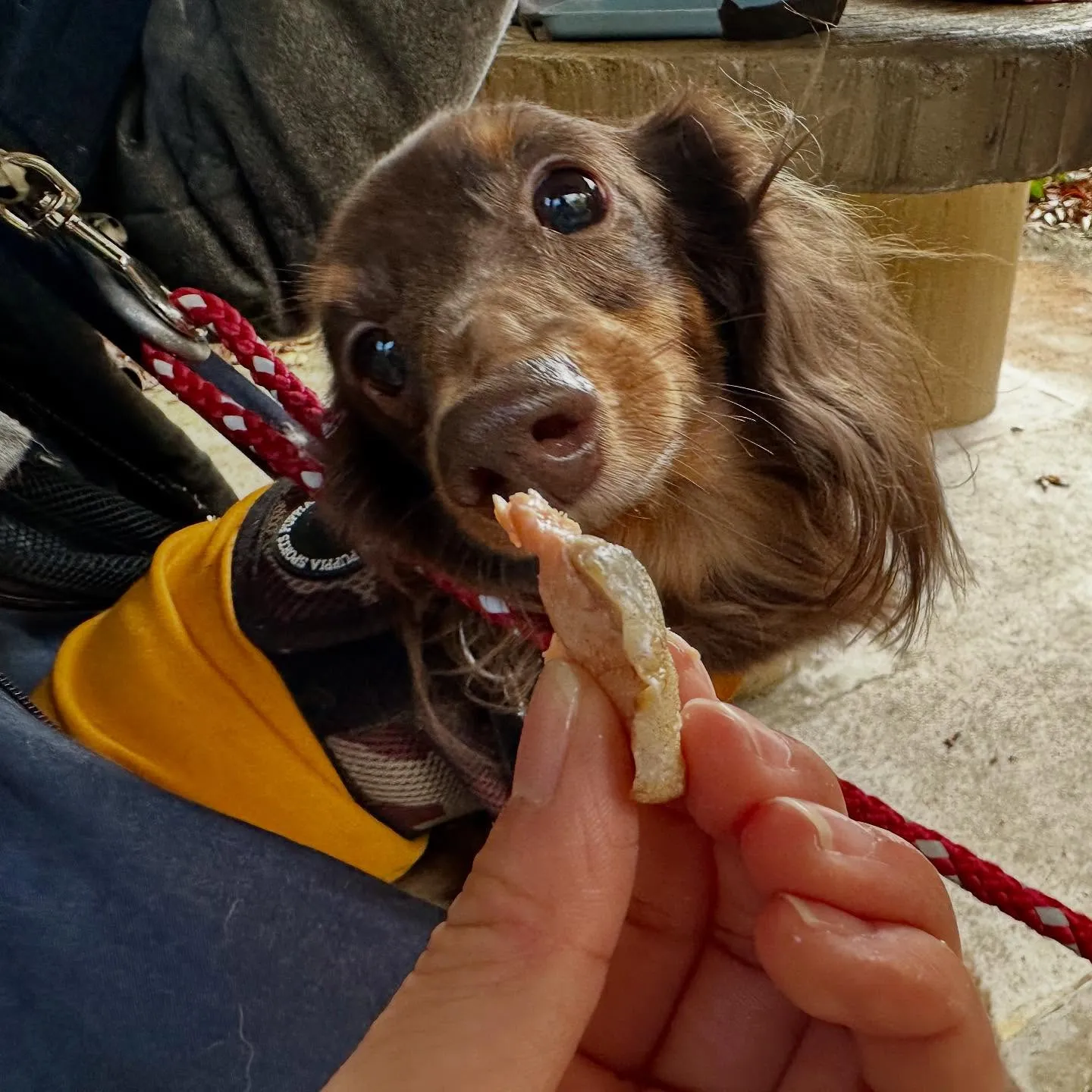 【秋の遠足イベント ご予約受付開始のお知らせ】