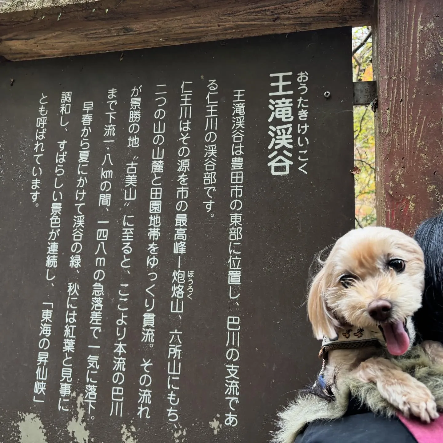 【秋の遠足 受付終了のお知らせ】